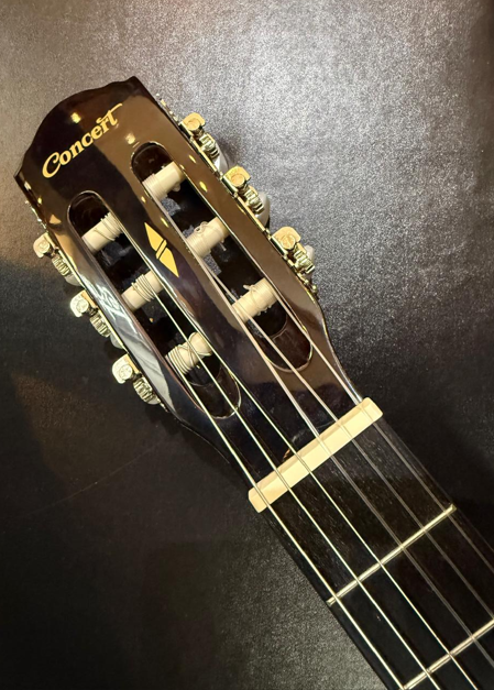 Amostra do braço e mão de um violão de cordas de Nylon